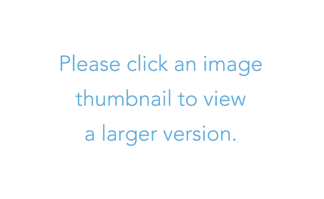 swap image
